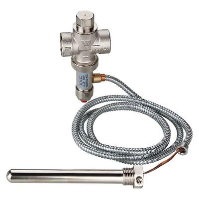 Thermische Ablaufsicherung sts Sicherheitsventil Heizungsanlage STS20-1,3m - Watts Image