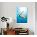 East Urban Home Green Sea Turtle In North Sulawesi, Indonesia by Brandi Mueller - Gallery-Wrapped Canvas Giclee Print Canvas | Wayfair