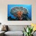 East Urban Home 'Soft Corals Grow Beneath a Large Table Coral' Photographic Print on Canvas Canvas, Cotton in Blue/Gray | 12 H x 18 W in | Wayfair