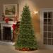 Kelly Clarkson Home 7.5' Green Artificial Christmas Tree w/ 800 Clear/White Lights, Faux Fur in Gray | 90 | Wayfair