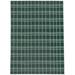White 60 x 36 x 0.08 in Area Rug - Gracie Oaks SIMPLE GINGHAM & PLAID GREEN Outdoor Rug By Becky Bailey Polyester | 60 H x 36 W x 0.08 D in | Wayfair