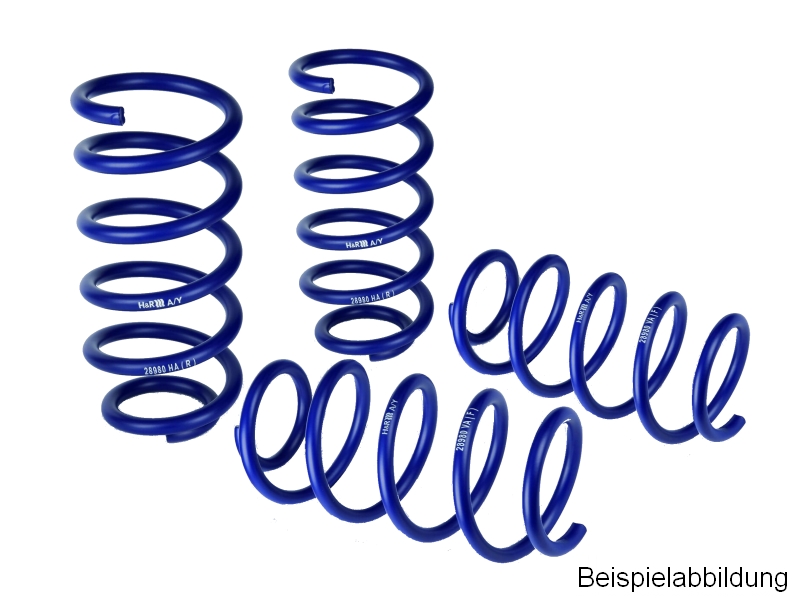 H&R Fahrwerksatz, Federn Sportfedersätze/Performance Lowering Springs 29018-3 für SEAT Image