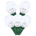 Sival 40254 - 25' 25 Light Green Wire G40 Clear Christmas Light String Set