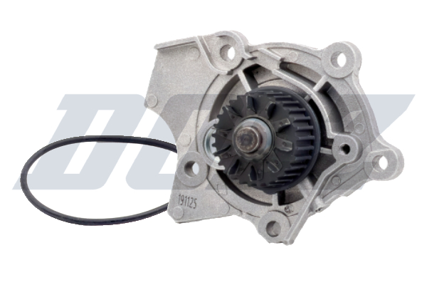 DOLZ Wasserpumpe a231 für VW SKODA Image