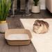 Kitty Sift Eco-Friendly Disposable Litter Box in Pink/White | 4 H x 13.8 W x 17.8 D in | Wayfair KSR-LB-L6