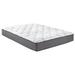 Twin 10" Hybrid Mattress - Crafted Sleep | 80 H x 76 W 10 D in Wayfair XCH2510BXK