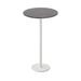 Cane-line Go Round High Bar Outdoor Table Metal in Gray/White | 43.79 H x 27.6 W x 27.6 D in | Wayfair 5045SAW-P70HPSDG