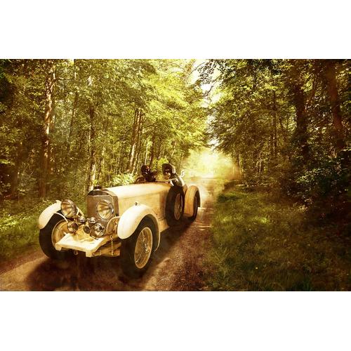 „PAPERMOON Fototapete „“Oldtimer in wald““ Tapeten Gr. B/L: 5,00 m x 2,80 m, Bahnen: 10 St., bunt Fototapeten“