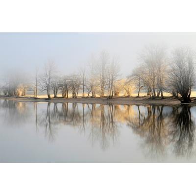 Fototapete PAPERMOON "Photo-Art BOR, JANUAR MORGEN", grau (bunt), B:5,00m L:2,80m, Vlies, Tapeten