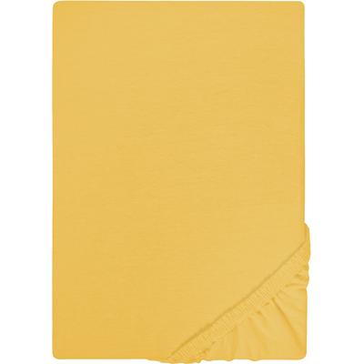 Spannbettlaken "Jersey in Gr. 90x200, 140x200 oder 180x200 cm", orange, B:90-100cm L:190-200cm, Jersey, Obermaterial: 100% Baumwolle, CASTELL - MARKENBETTWÄSCHE, Laken, aus Baumwolle, für Matratzen bis 22 cm Höhe, Bettlaken, Spannbetttuch Image