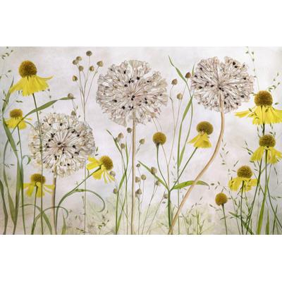 Fototapete PAPERMOON "Photo-Art MANDY DISHER, ALLIEN UND HELENIENS", bunt, B:4,50m L:2,80m, Vlies, Tapeten