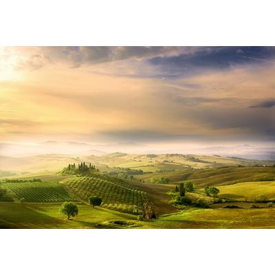 Fototapete PAPERMOON "Photo-Art ARNAUD BRATKOVIC, PODERE BELVEDERE'S SUNRISE", bunt, B:5,00m L:2,80m, Vlies, Tapeten