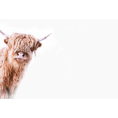 Fototapete LIVING WALLS "ARTist Highland Cattle", braun (beige, braun, weiß), B:4m L:2,7m, Vlies, Tapeten, Vlies, Wand, Schräge