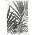 Poster REINDERS "Palmenblätter" Bilder Gr. B/H/T: 80 cm x 120 cm x 0,1 cm, grün Poster leichtes und wasserfestes Gartenposter für den Außeneinsatz