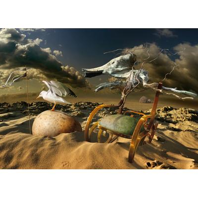 Fototapete PAPERMOON "Photo-Art RADOSLAV PENCHEV, MÖVE IN DER WÜSTE", bunt, B:4,50m L:2,80m, Vlies, Tapeten