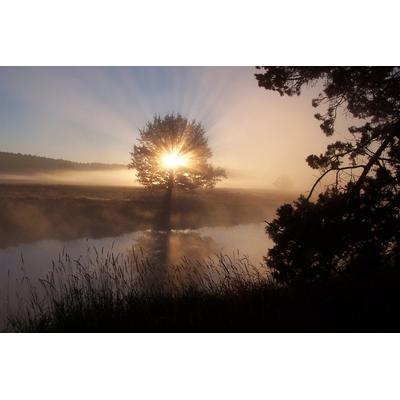 Fototapete PAPERMOON "Fluss Sonnenaufgang", bunt (mehrfarbig), B:3,5m L:2,6m, Vlies, Tapeten Image