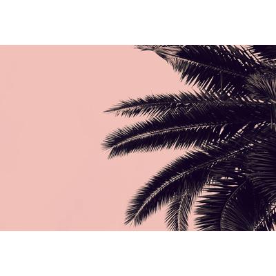 Fototapete LIVING WALLS "ARTist Palm Tree", rosa (rosa, schwarz), B:4m L:2,7m, Vlies, Tapeten, Vlies, Wand, Schräge