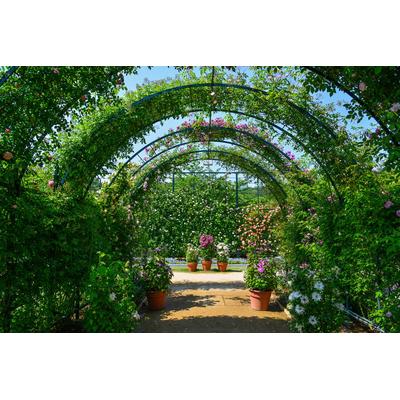 Fototapete PAPERMOON "Garten", bunt, B:4,00m L:2,60m, Vlies, Tapeten