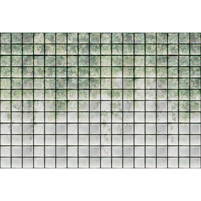 Fototapete LIVING WALLS "Walls by Patel Greenhouse", grün (grün1), B:4,00m L:2,7m, Vlies, Tapeten, Vlies, Wand