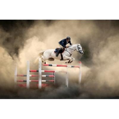 Fototapete PAPERMOON "Photo-Art ARIF UNSAL, WEISSES PFERD", bunt, B:3,50m L:2,60m, Vlies, Tapeten Image