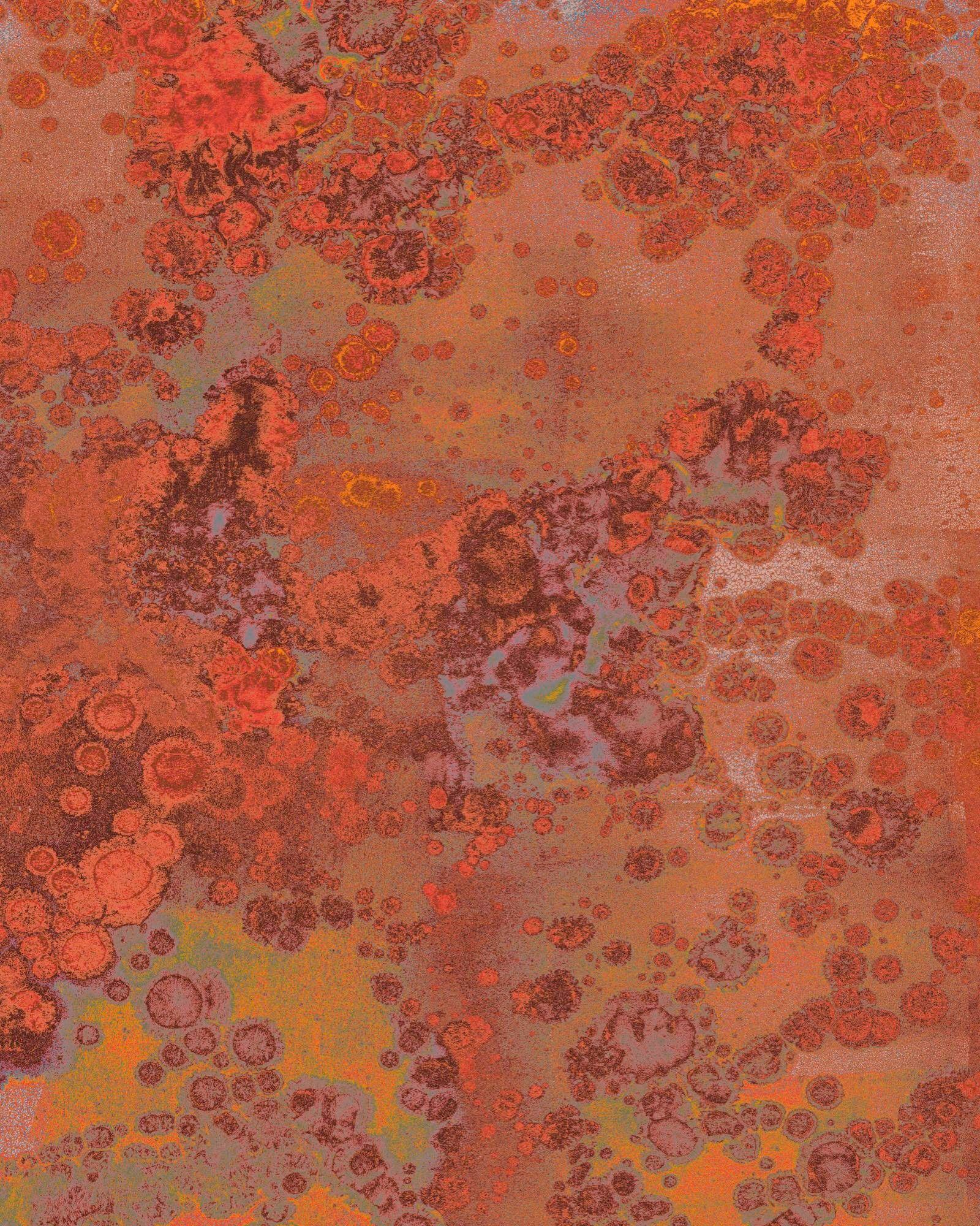 Vliestapete KOMAR "Digitaldruck Vlies - Patina - Größe 200 x 250 cm", bunt, B:200m L:250m, Vlies, Tapeten, Wohnzimmer, Schlafzimmer