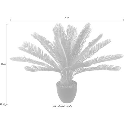Kunstpflanze I.GE.A. "Cycaspalme im Topf", grün, B:26cm H:67cm T:26cm, Kunststoff, Kunstpflanzen Image