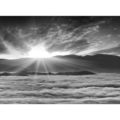 Fototapete PAPERMOON "Landschaft Schwarz & Weiß", schwarz (schwarz, weiß), B:3,50m L:2,60m, Vlies, Tapeten Image
