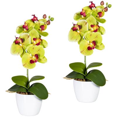 Kunstpflanze CREATIV GREEN "Orchidee Phalaenopsis", grün, H:40cm, Polyester, Kunststoff, Kunstpflanzen, im Keramiktopf Image
