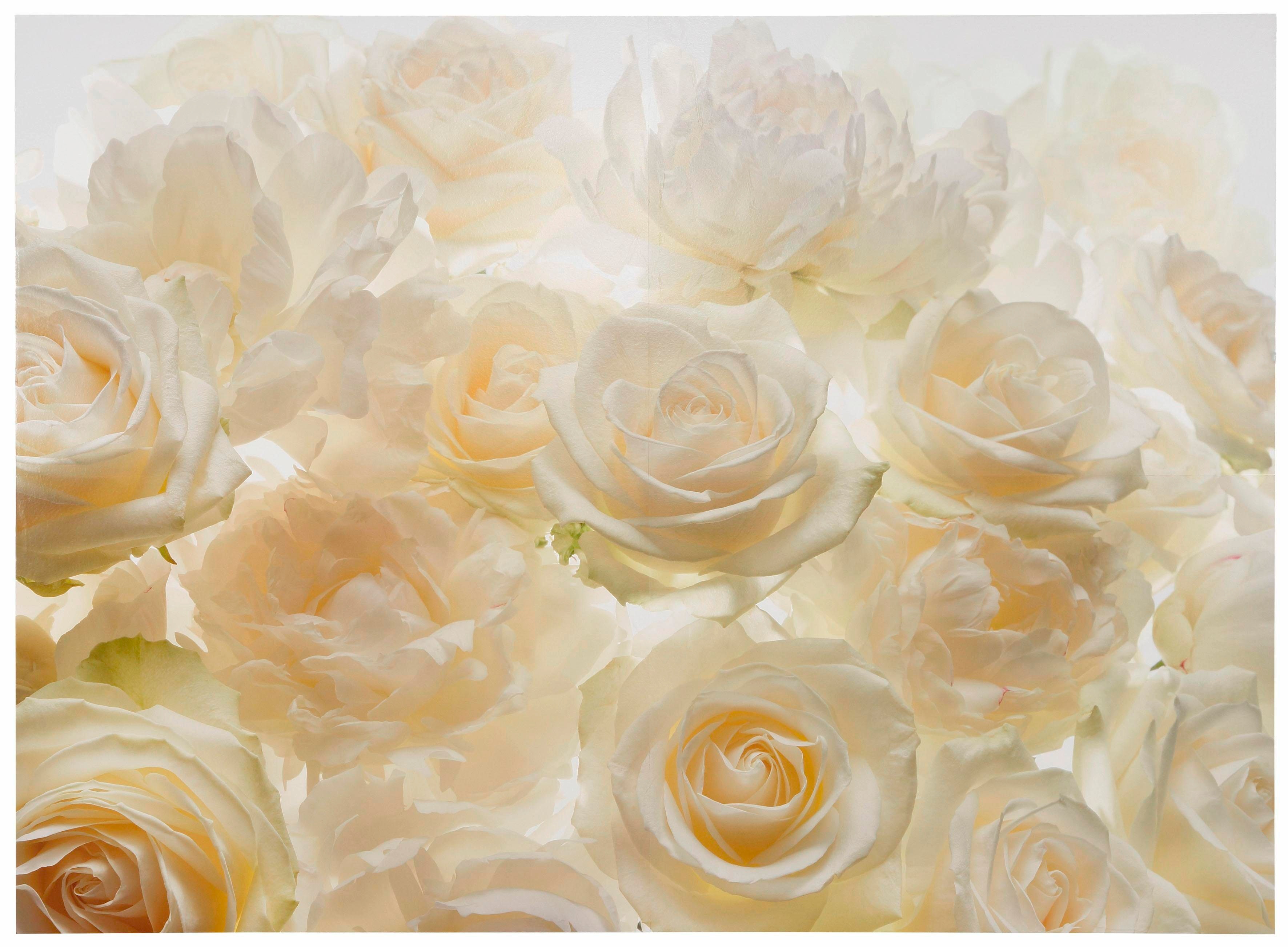 Vliestapete KOMAR "Vlies - Shalimar - Größe 368 x 248 cm", bunt (bunt, weiß), B:368m L:248m, Vlies, Tapeten, Wohnzimmer, Schlafzimmer