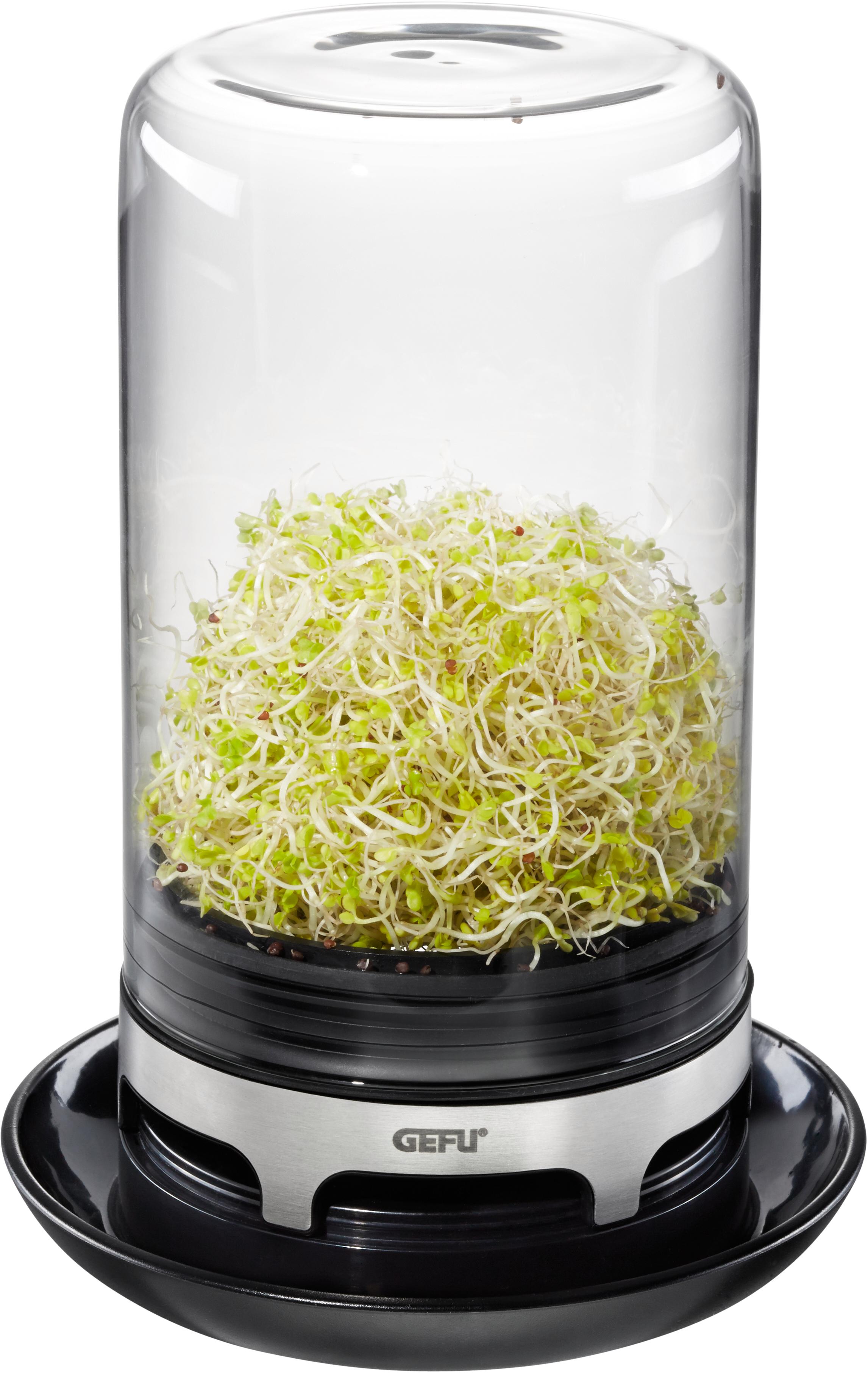 Kräutertopf GEFU "Bivita", schwarz (transparent, schwarz, silberfarben), B:12,8cm H:18,4cm Ø:12,8cm, Edelstahl, Glas, Kunststoff, Pflanzgefäße, Sprossenglas Image