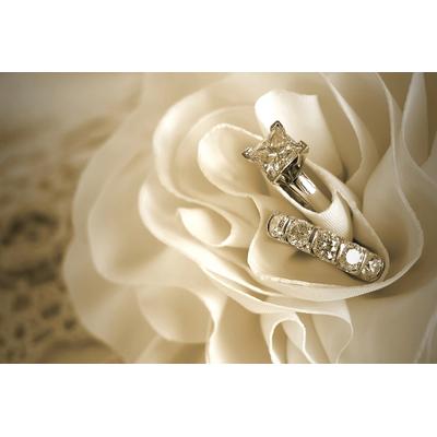 Fototapete PAPERMOON "Ring in Rose", bunt, B:3,50m L:2,60m, Vlies, Tapeten Image