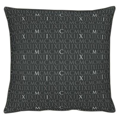 Dekokissen APELT "Mars" Gr. 2, silber (anthrazit, silberfarben, schriftzüge, unifarben), B:48cm L:48cm, Polyester, Dekokissen_Sitzkissen_Kissenhüllen, Kissenhülle mit Füllung, 1 Stück Image
