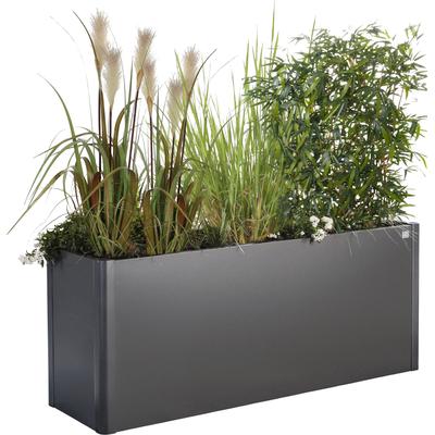 Hochbeet BIOHORT "Belvedere", grau (dunkelgrau, metallic), B:102cm H:45cm T:53cm, Stahlblech, Pflanzgefäße, BxTxH: 102x53x45 cm