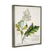 Trinx Botanical Plant Illustration Leaves Vintage Design Canvas Wall Art By World Art Group Canvas in Green/White | 21 H x 17 W in | Wayfair