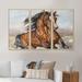 Foundry Select Portrait of a Horse in the Race - Farmhouse Framed Canvas Wall Art Set Of 3 Canvas, Wood in White | 28 H x 36 W x 1 D in | Wayfair
