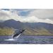 Highland Dunes A breaching humpback whale off the West side of the island of Maui; Maui Hawaii United States of America Paper | Wayfair