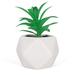 Primrue 5.5" Artificial Dyckia Platyphylla Succulent in Decorative Vase Ceramic/Plastic | 5.5 H x 4 W x 4 D in | Wayfair