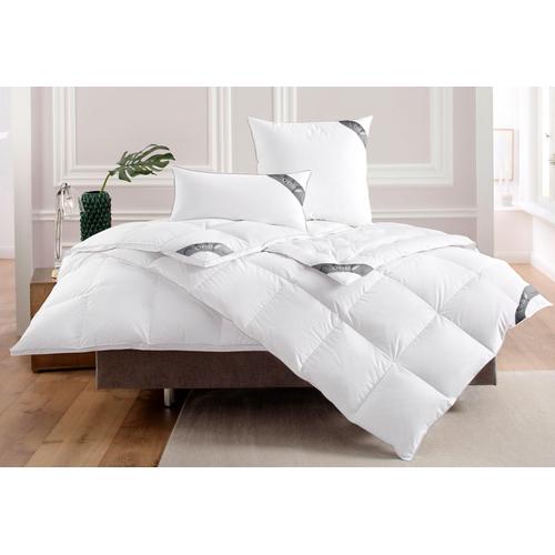 "Daunenbettdecke OBB ""Noblesse"" Bettdecken Gr. B/L: 155 cm x 220 cm, warm, weiß Bettdecken Bettdecke"