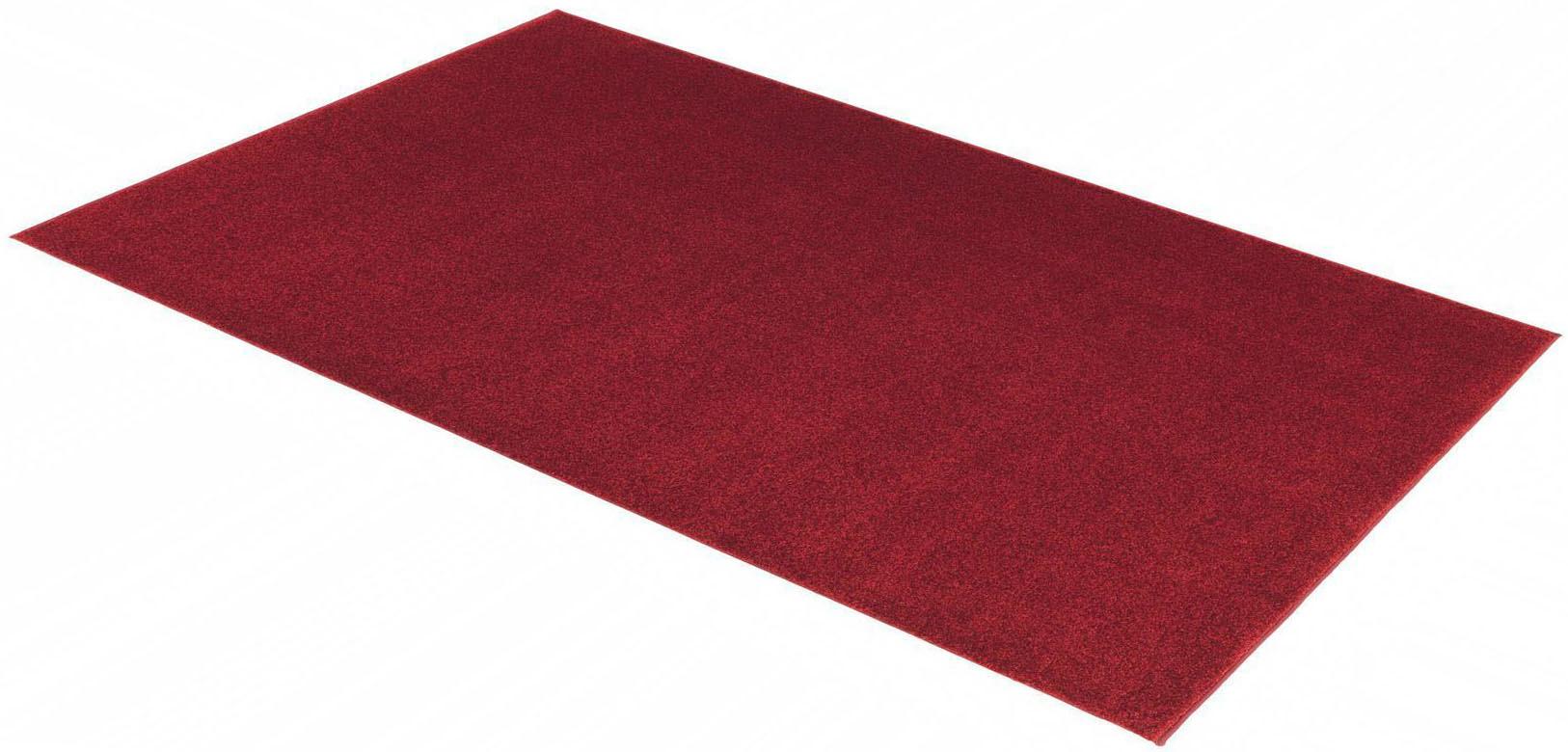 Teppich ASTRA "Samoa Uni" Gr. 6, rot, B:200cm H:20mm L:290cm, Kunstfaser, Teppiche, Kurzflor, Wohnzimmer Image