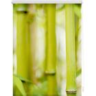 Seitenzugrollo LICHTBLICK ORIGINAL "Klemmfix Motiv Bambus" Rollos Gr. 150 cm, 80 cm, grün (grün, weiß) Rollos ohne Bohren