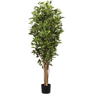 Kunstbaum CREATIV GREEN "Ficus Benjamini", grün, H:151cm, Kunststoff, Kunstpflanzen Image