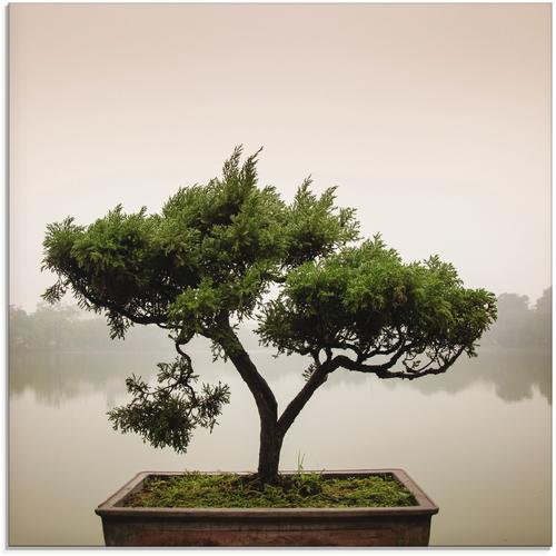 "Glasbild ARTLAND ""Chinesischer Bonsaibaum"" Bilder Gr. B/H: 30 cm x 30 cm, grün Bilder"