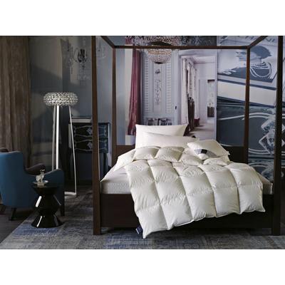 Daunenbettdecke BILLERBECK "E14 Greta, Bettdecke in 135x200 cm, 155x220 cm, Sommer, Winter", beige (champagner), B:135cm L:200cm, Bezug: 100% Baumwolle. Füllung: 90% Entendaune, 10% Entenfeder, Bettdecken, Die Daunendecke mit dem blauen Engel Image