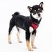 Red Superior Soft Dog Harness with Adjustable Neck, Medium