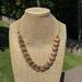 J. Crew Jewelry | 3/$30 J Crew Shell Collar Gold Necklace | Color: Gold | Size: Os