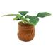 Silver Buffalo 6" Artificial Succulent in Planter Ceramic/Plastic | 5.5 H x 2 W x 2 D in | Wayfair HP2407EH