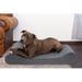 FurHaven Microvelvet Luxe Chaise Lounge Orthopedic Dog Bed Polyester in Gray/White | 5.5 H x 36 W x 24 D in | Wayfair 31439397