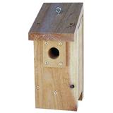 Gracie Oaks Kanaga Hanging 13 in x 7 in x 5 in Birdhouse Wood in Brown/Gray | 13 H x 6.75 W x 5 D in | Wayfair 59E368159D514D56B00BAEAF1AA14CC8