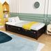 Latitude Run® Twin Platform Bed w/ 2 Drawers, Wood | 15.6 H x 41.75 W x 79.5 D in | Wayfair 2A02A46FBE3F422FBF09ABE9DF06C52D
