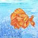 Highland Dunes Thai Betta Fish I Poster Print By Paul Brent (18 X 18) BNT1495 Paper in Blue/Orange | 18 H x 18 W in | Wayfair